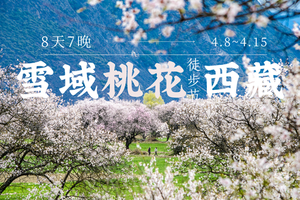 仅一期！4.8-4.15日西藏|【雪域桃花徒步节8天】遇见中国最美的雪域桃花春天（ 林芝集合）