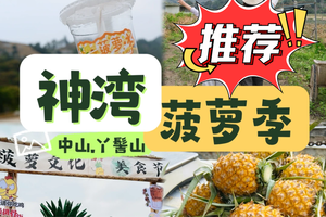 转发65元起，5.23日 周六【入门-菠萝的山】中山菠萝的山徒步11km，体验采摘，寻味当地美实