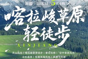 5.23/24成团！【喀拉峻草原轻徒步5日】：八卦城+草原花海+雪岭云杉+空中草原+恰甫其海