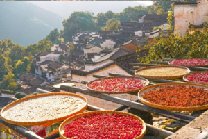 【江西精华游】12.31晚-1.3江西婺源篁岭+望仙谷+滕王阁