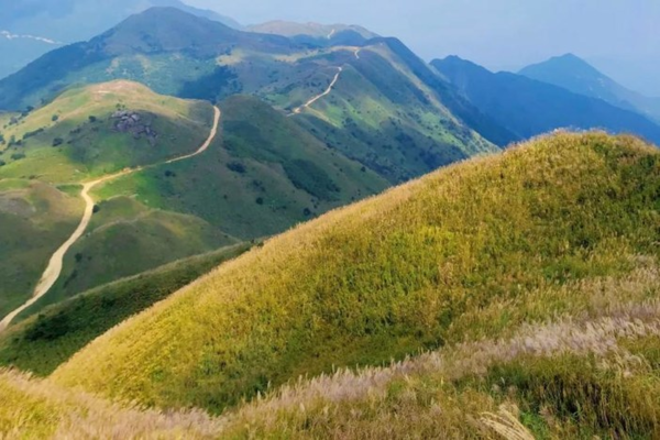 成团 【中等难度】12.1周日 惠东大南山 | 赏金色满山的芦苇草原