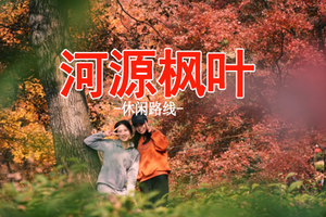  成团 工作日【休闲徒步】12.18周四【河源红枫】｜赏广东醉美枫叶，徒步广东的无量山上仙湖茶场（15人成团，放心报名）