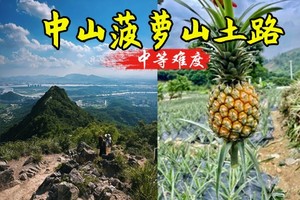 4.5日【入门-菠萝的山】中山菠萝的山徒步11km，体验采摘，寻味当地美实