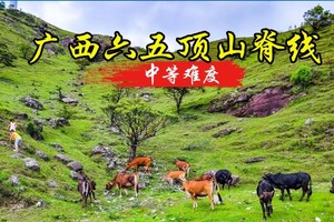 特价188元-1.2晚-1.3【六五顶】 走进小那拉提 | 邂逅高山 草甸 日出 云海 -中低级