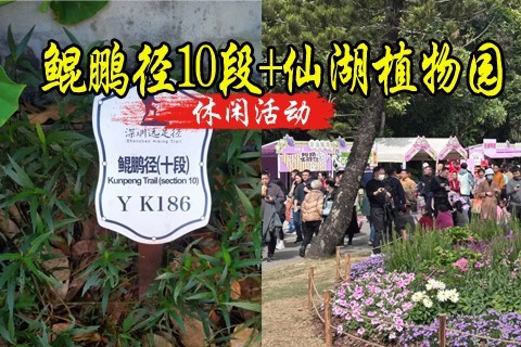 5.17日周六 深圳鲲鹏径第十段 仙湖植物园（18公里徒步，仙湖不用门票）