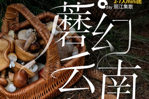 “蘑”幻云南｜6天5晚｜市场独家打造，夏季云南专属