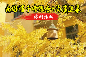 成团放心报名 12.20-12.21【特价299元含住宿送温泉】【银杏温泉】南雄帽子峰银杏+汤溪温泉+南华禅寺
