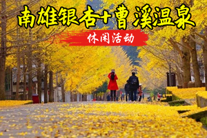 成团 12.17-12.18日【南雄银杏+曹溪温泉】南雄帽子峰银杏、马坝人遗址、曹溪温泉、南华禅寺。