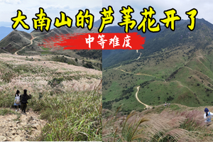12.27日周六【中等难度】惠东大南山 | 媲美武功山的绿色高山草甸