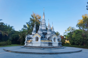 2025徒个中国·云南西双版纳原始热带雨林徒步