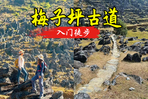 成团了 【梅子坪古道】5.23日 周六，梅子坪古道｜阳山沙磅穿英德大湾梅子坪