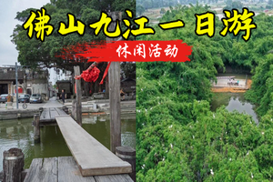 【休闲】周日2.8佛山九江citywalk：非遗美食古村，鹭鸟归林的治愈之旅