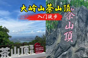 成团 2.5周四 大岭山徒步，打卡茶山顶，品特色烧鹅 （15人成团）