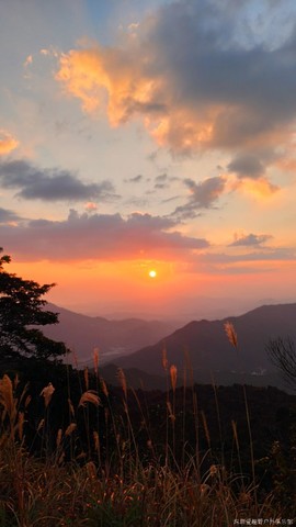 mmexport1639366624552