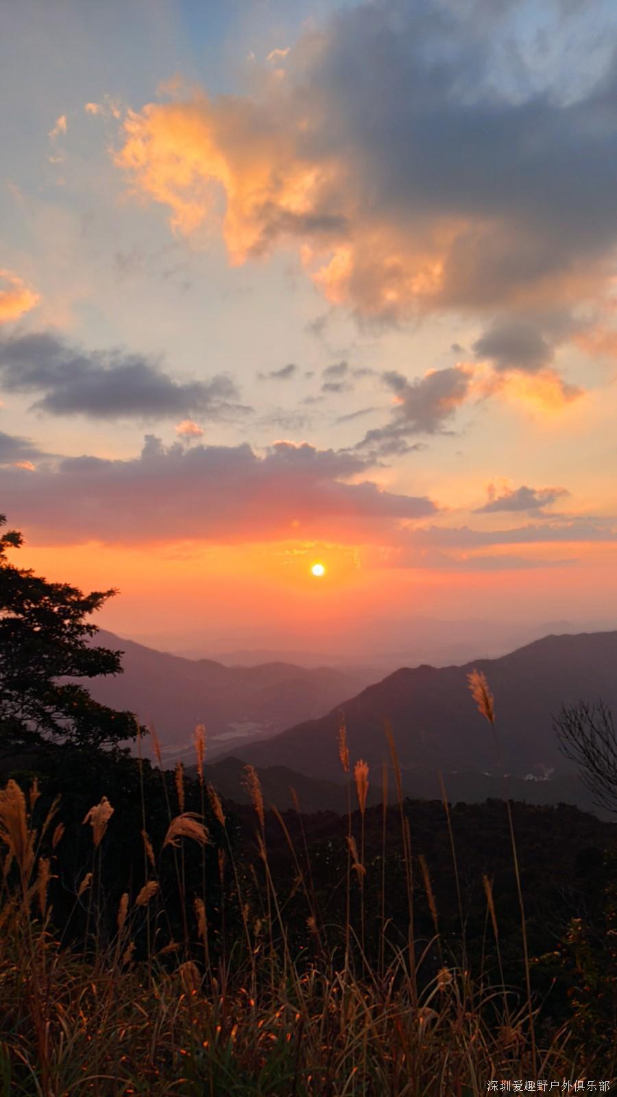 mmexport1639366624552