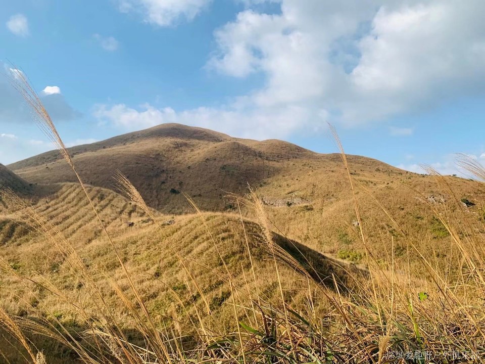 mmexport1639380845198