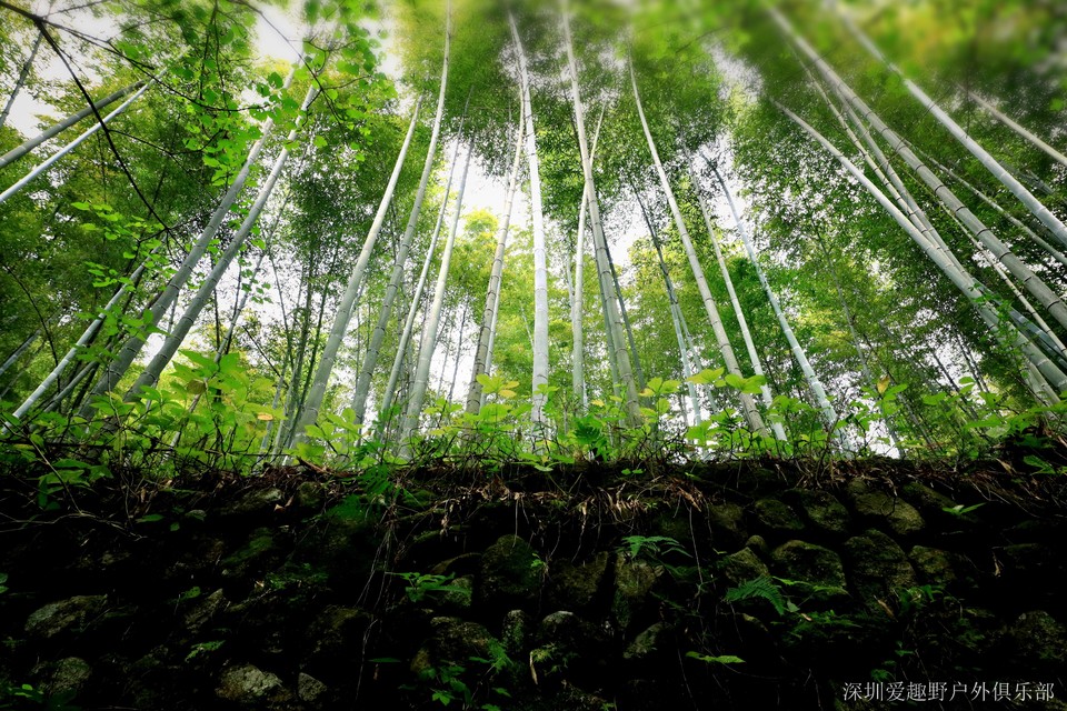 cByQs3pH9YLftgh_CWGQOQaRe3SQh34dLItzFqsJROAcadepK49PluTqnm4rxXXh