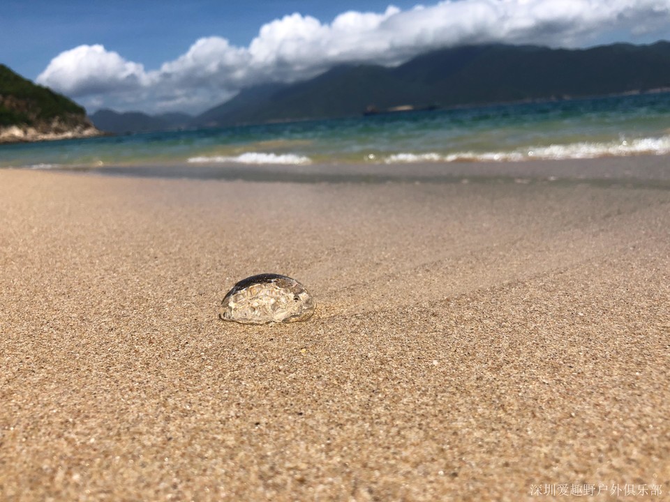 RbPFyQDlpmZ9cP-aRGBt5omxWcIKAY2em0KpG4ZtcFn6djdDOOdaXL_9rNcttk9c