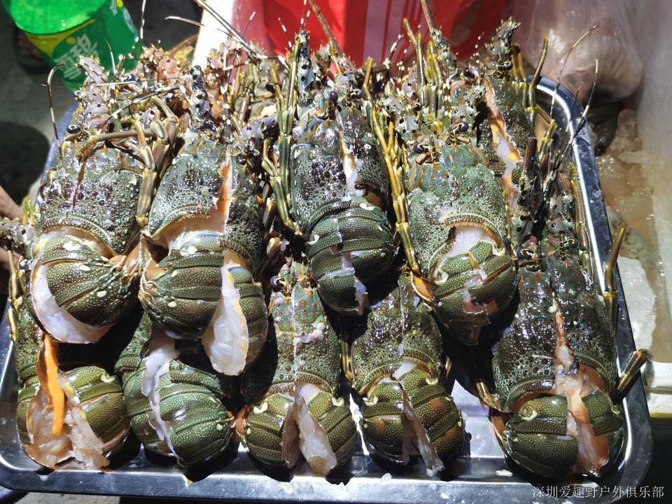 RbPFyQDlpmZ9cP-aRGBt5ucfu8Z9DD7zJSJ6rGU1QAp3aQorUdYsrXaCR44xi9Mi