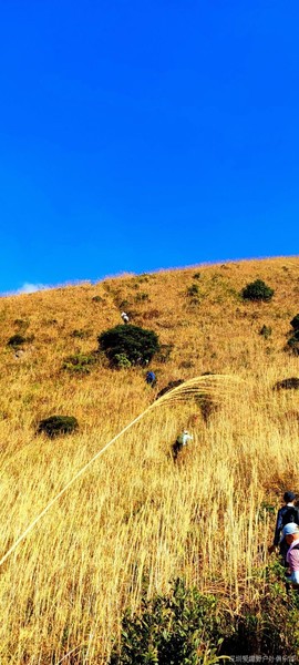 mmexport1639582480174