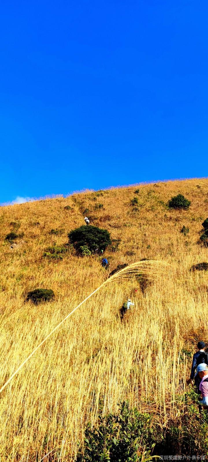 mmexport1639582480174