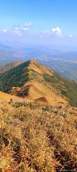 mmexport1639582461949