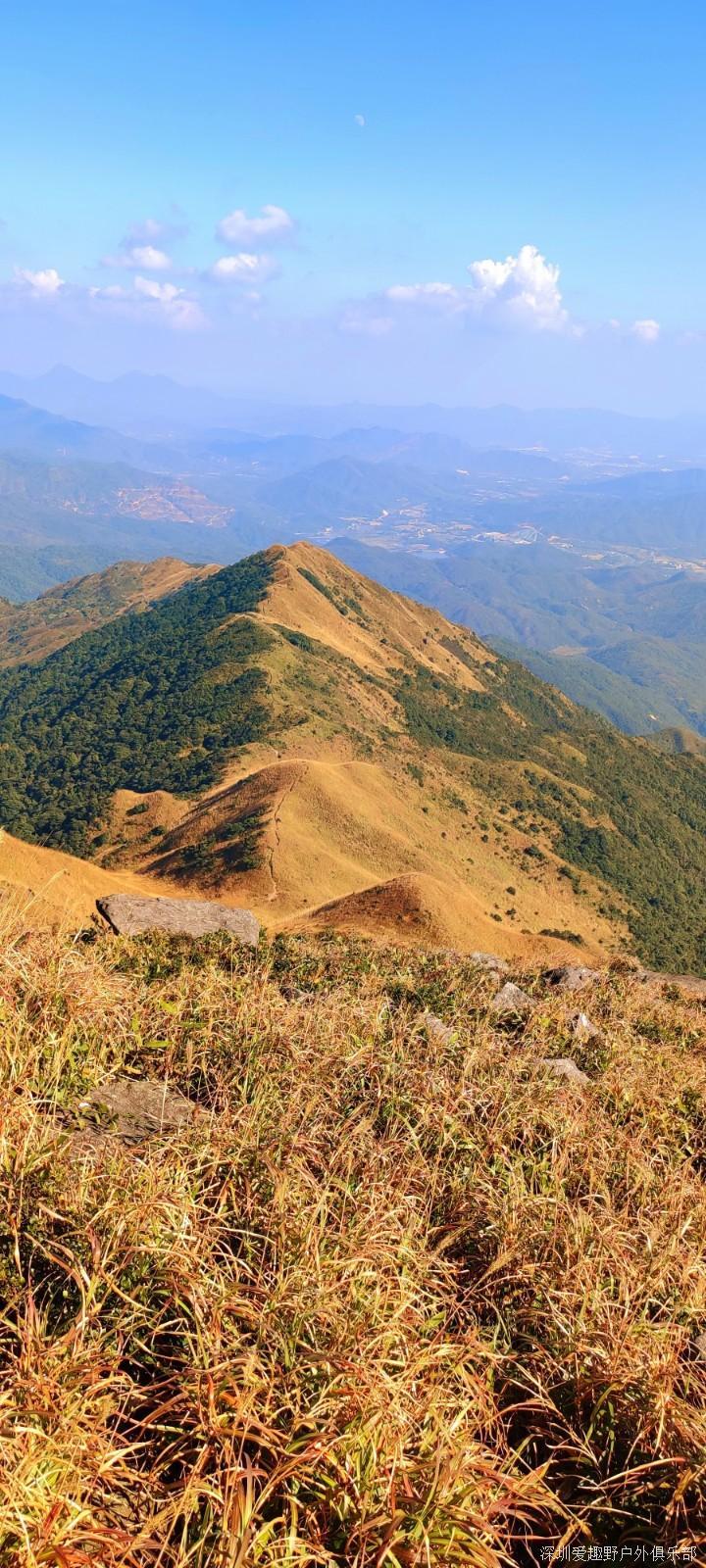 mmexport1639582461949