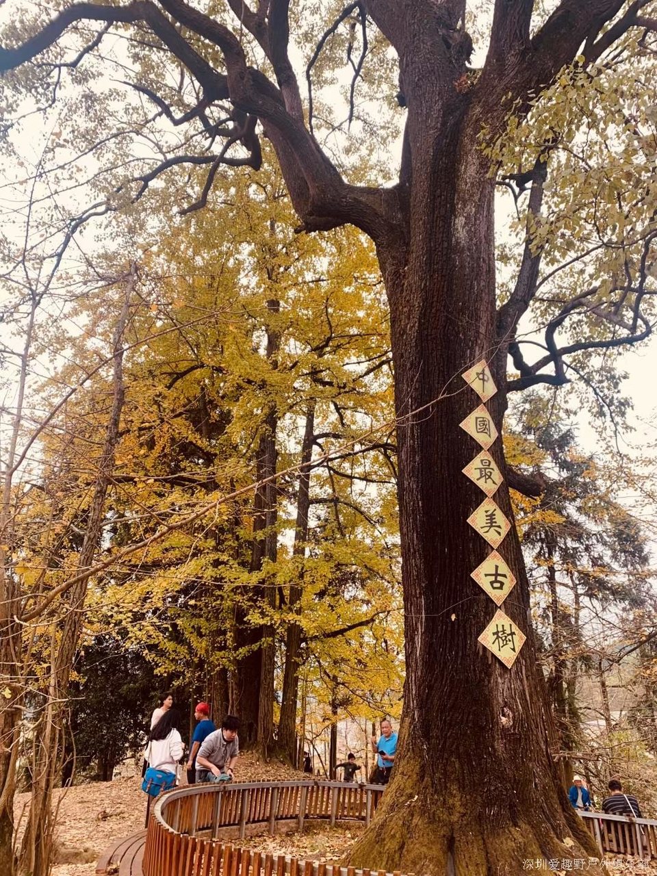 mmexport1639586550625