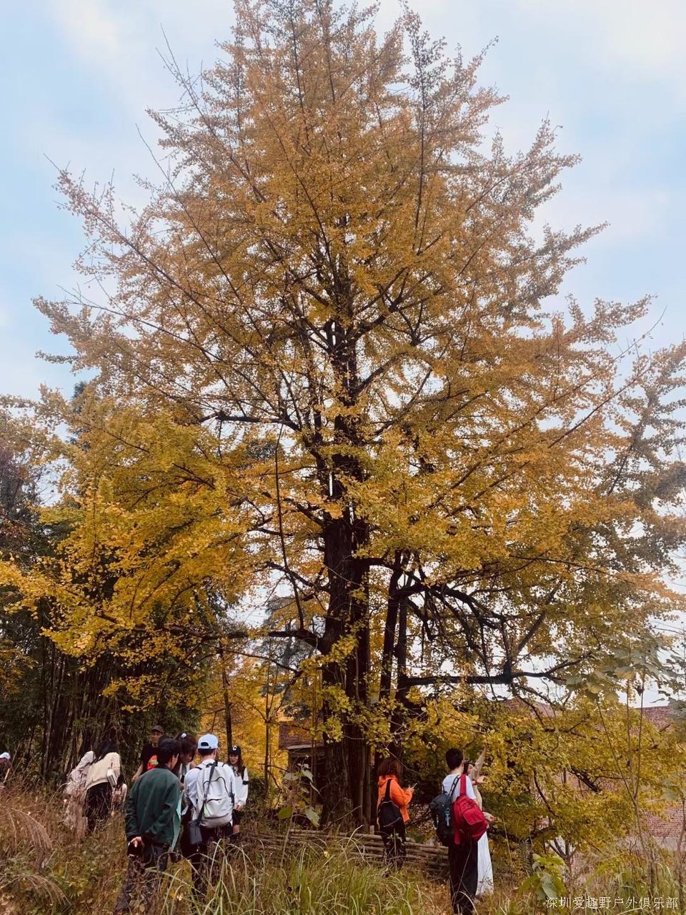 mmexport1639586544593