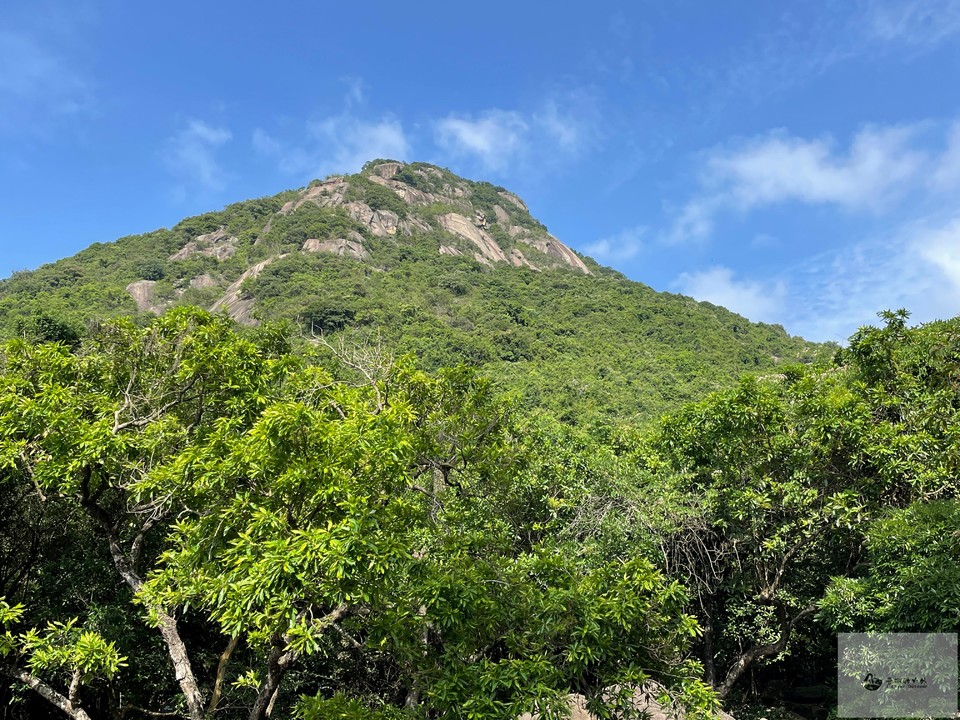 KNEPgZ4gwzhPbAL_ct1tjoU8zGD34-pBq0KNlM4ZXw85Rt1y2UlJcGS4rwG2rXe7