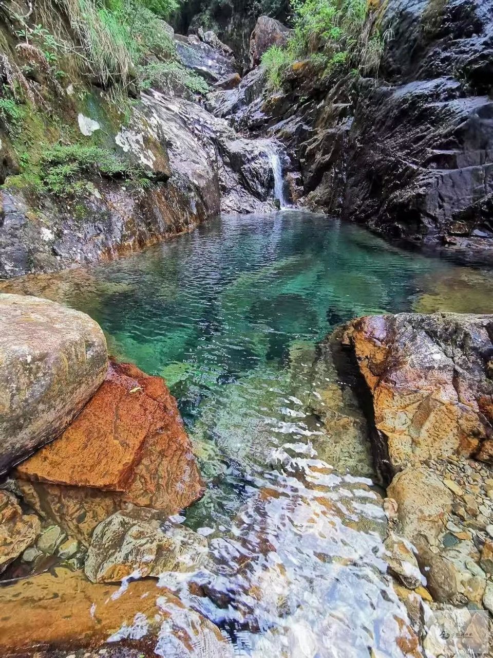 mmexport1653091230495