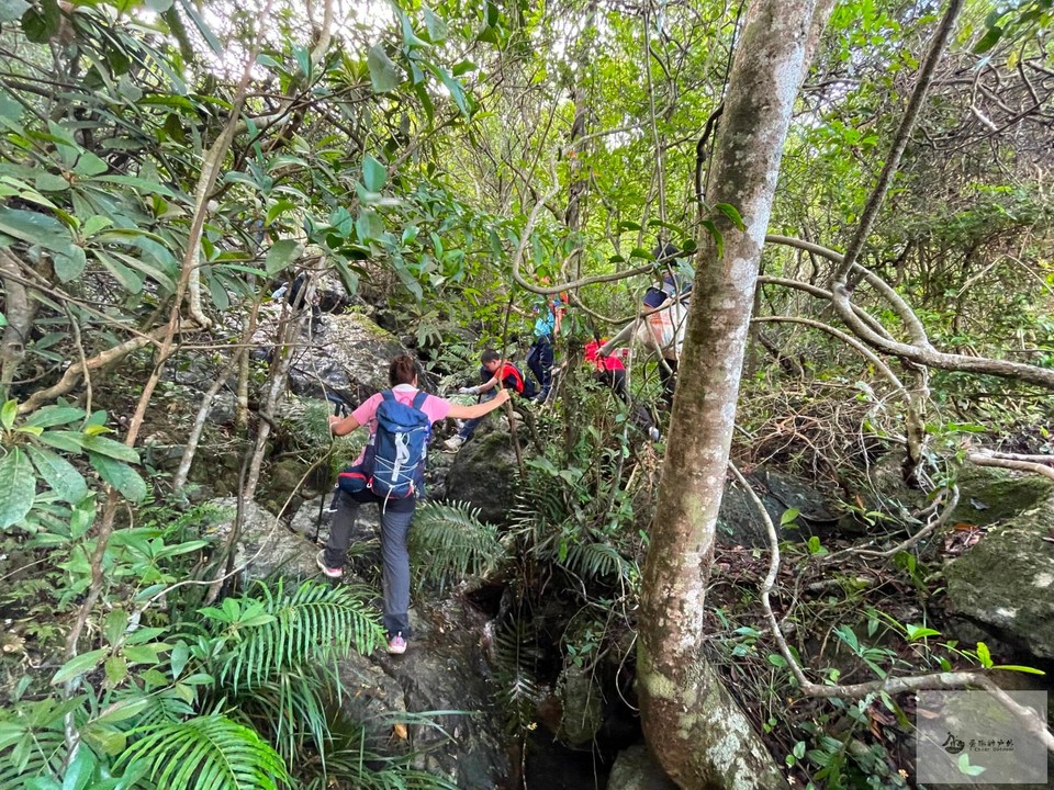 mmexport1653842175552