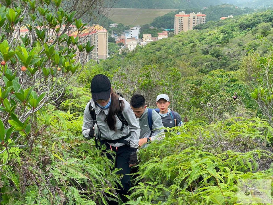 mmexport1653842227729