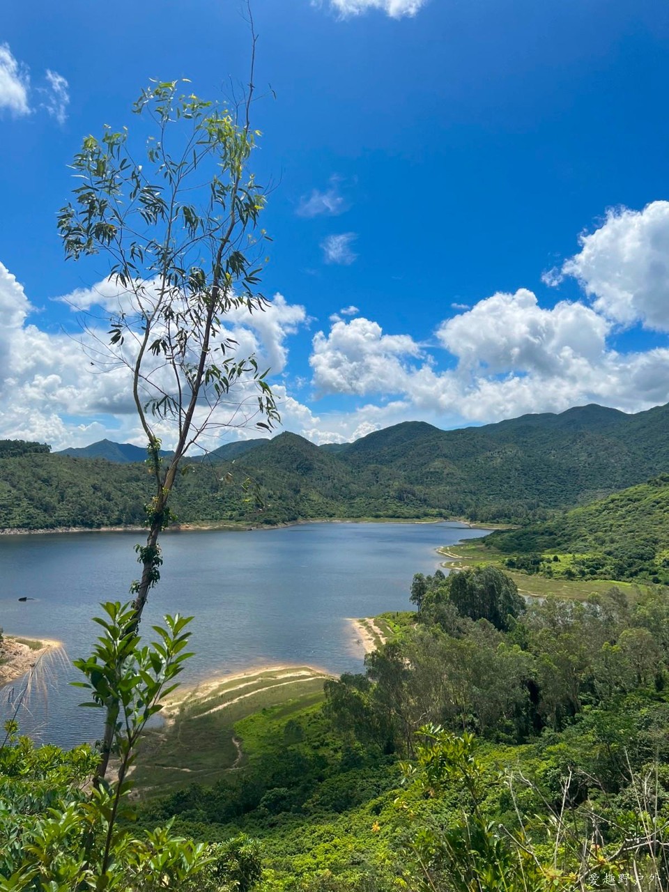 mmexport1656289716790