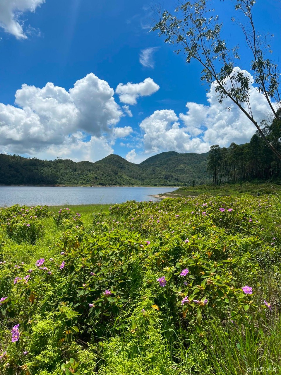 mmexport1656289719958