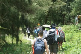 mmexport1658067183632