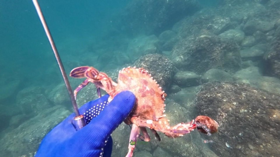 mmexport1663657704777