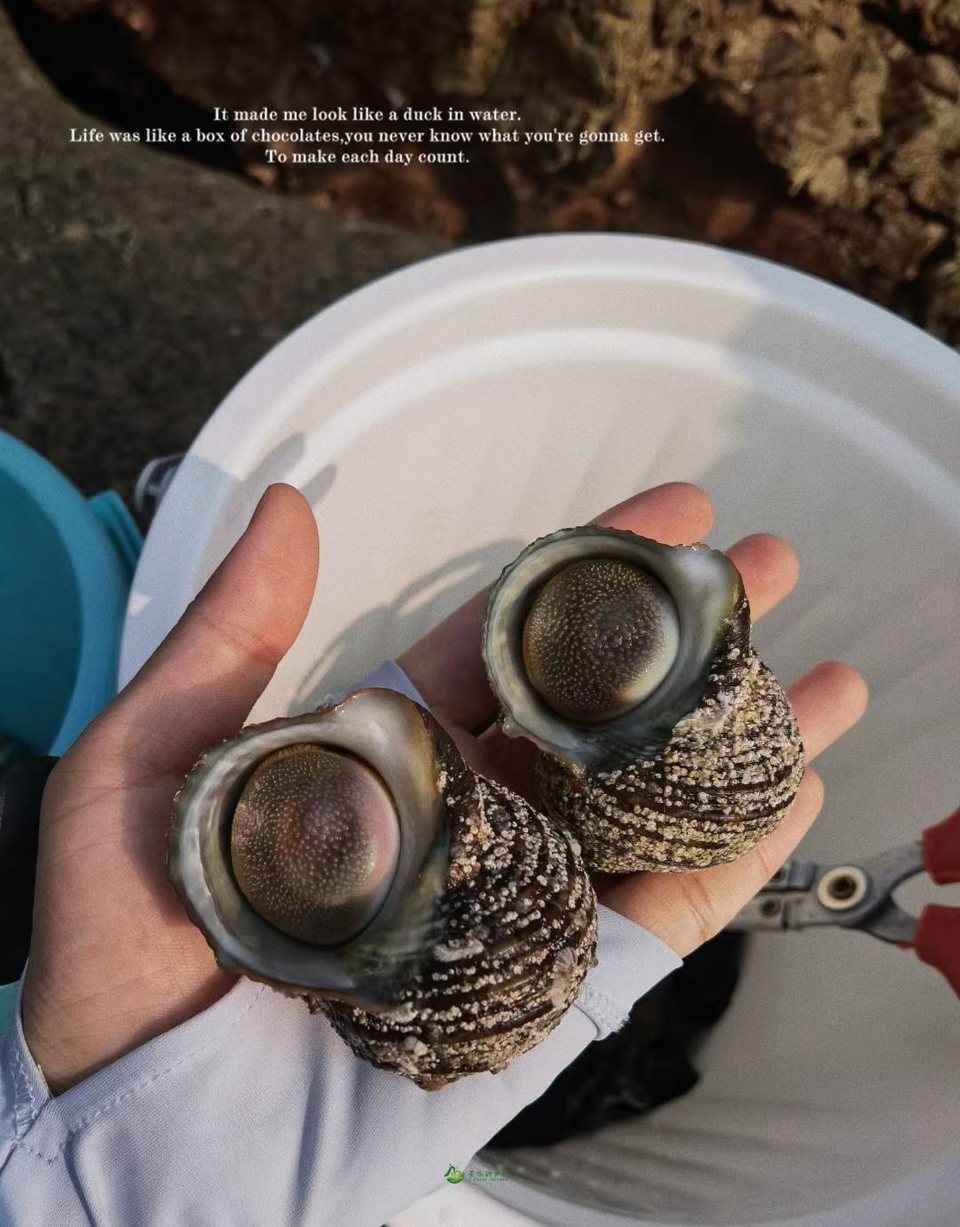 mmexport1663559949047