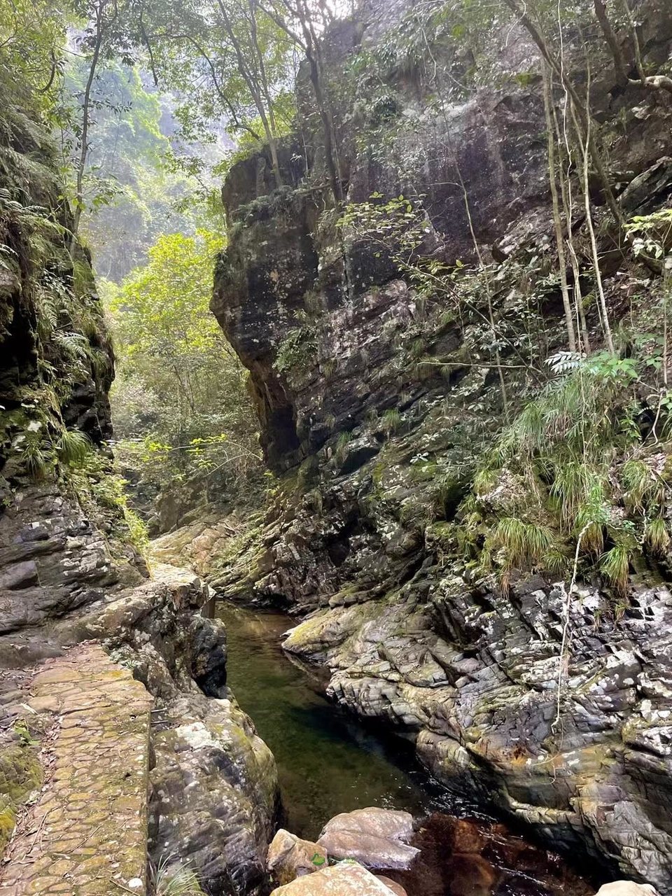 mmexport1663601229857