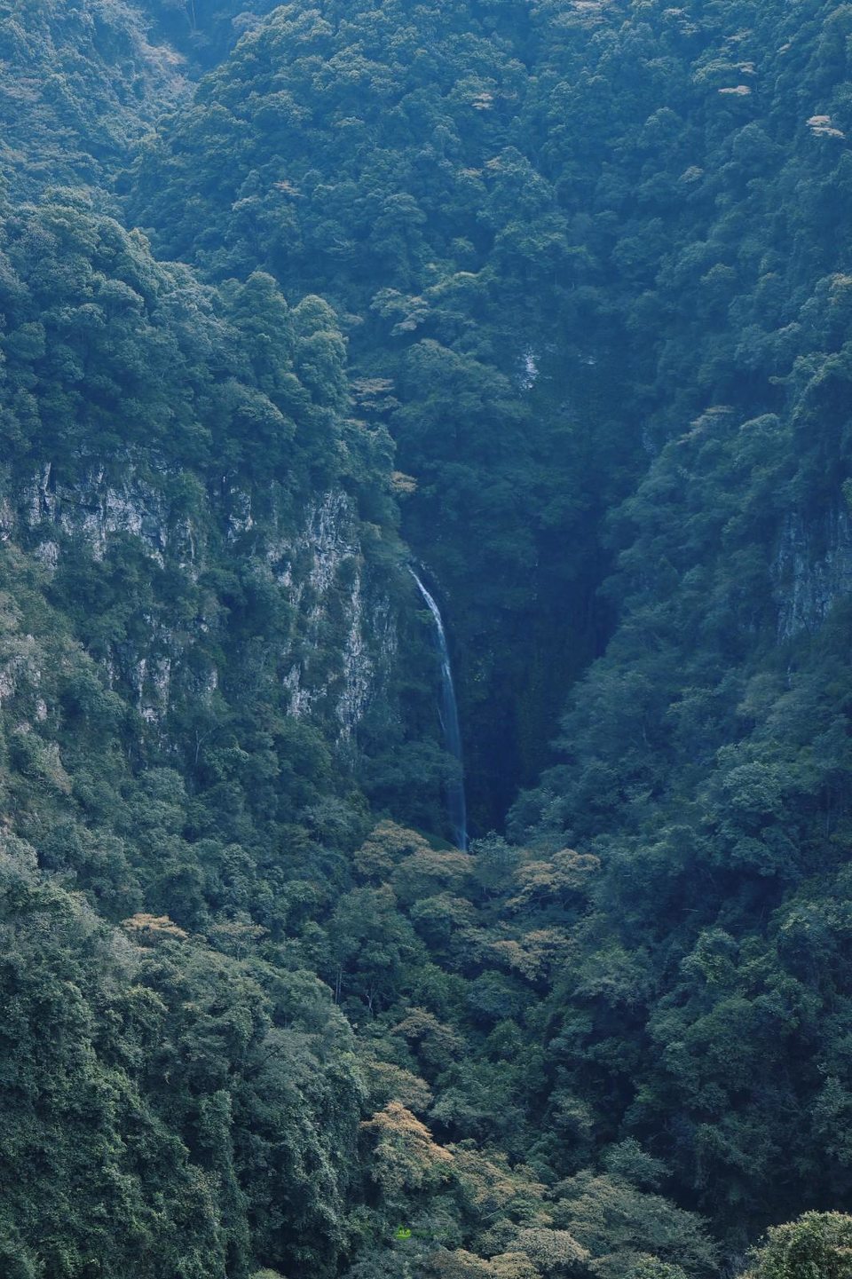 mmexport1663600833448