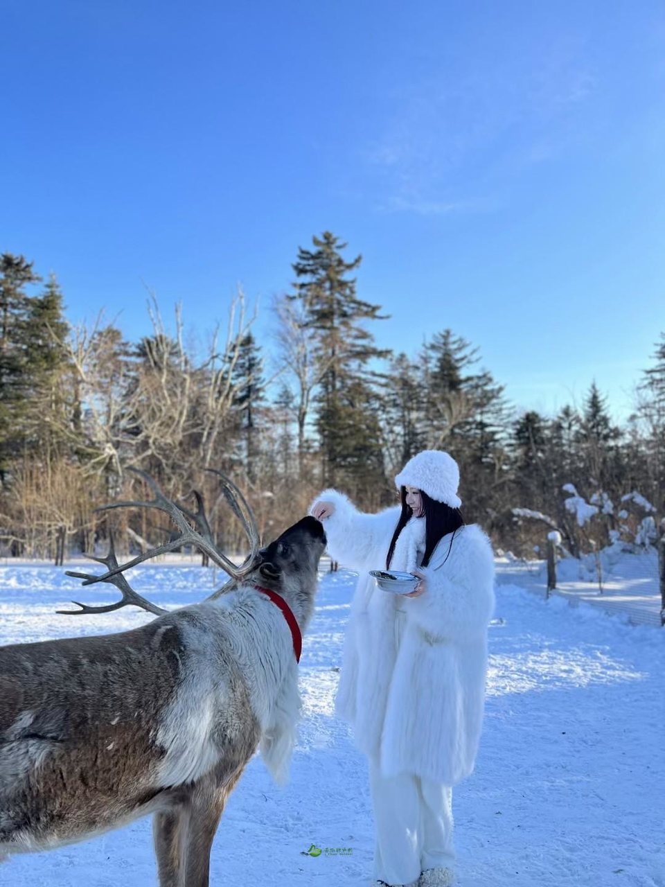 mmexport1673876169344