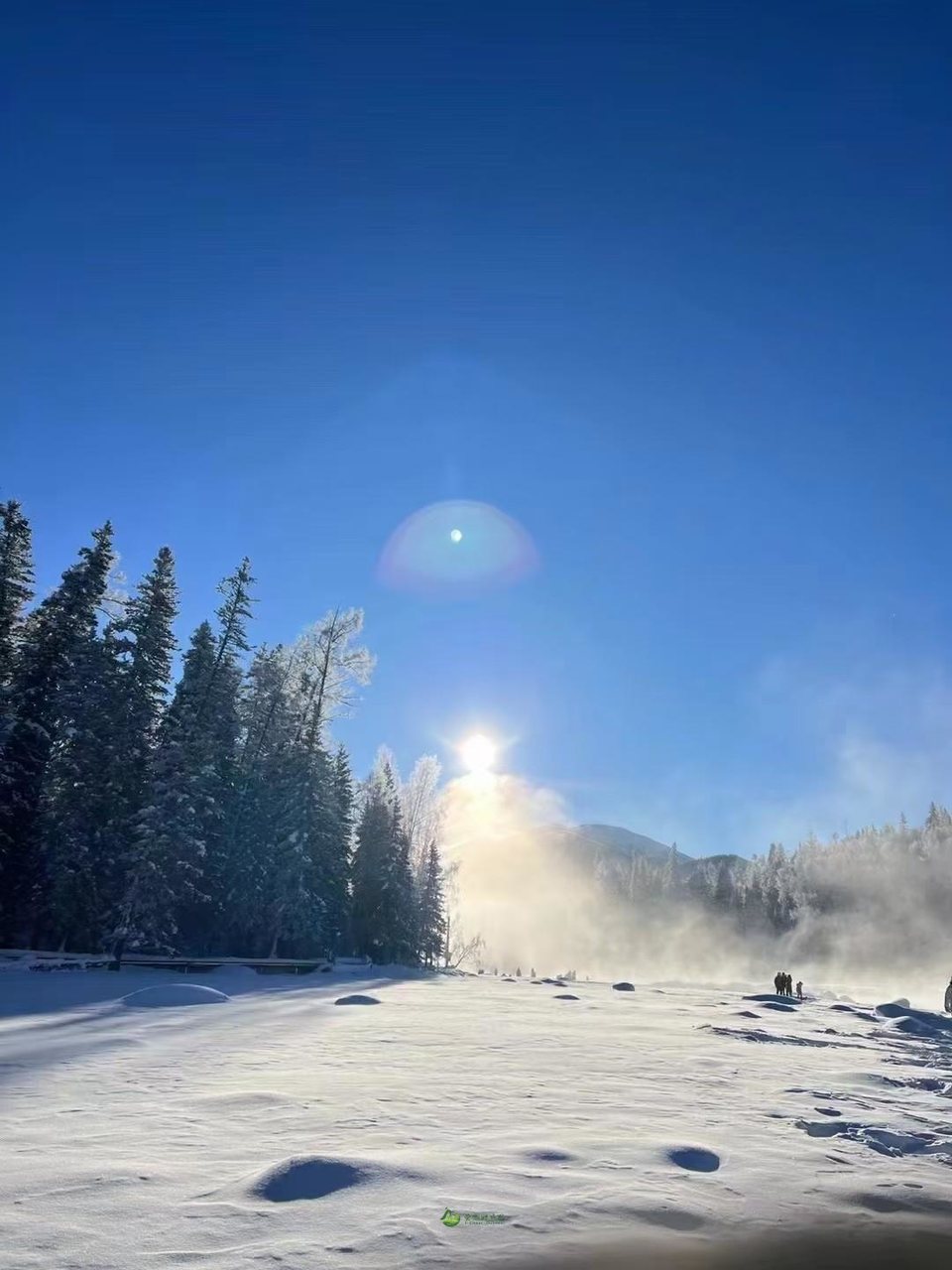 mmexport1673876396472