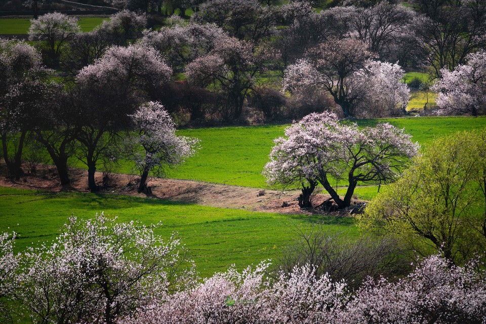 0ef65dc9c10ef702a3666027a83c812