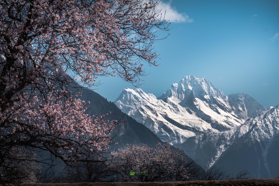 05ec4f78ca6f026a9cb39c346ac226f