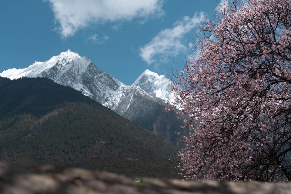 39e0a16467c930ca6f114128eb81015