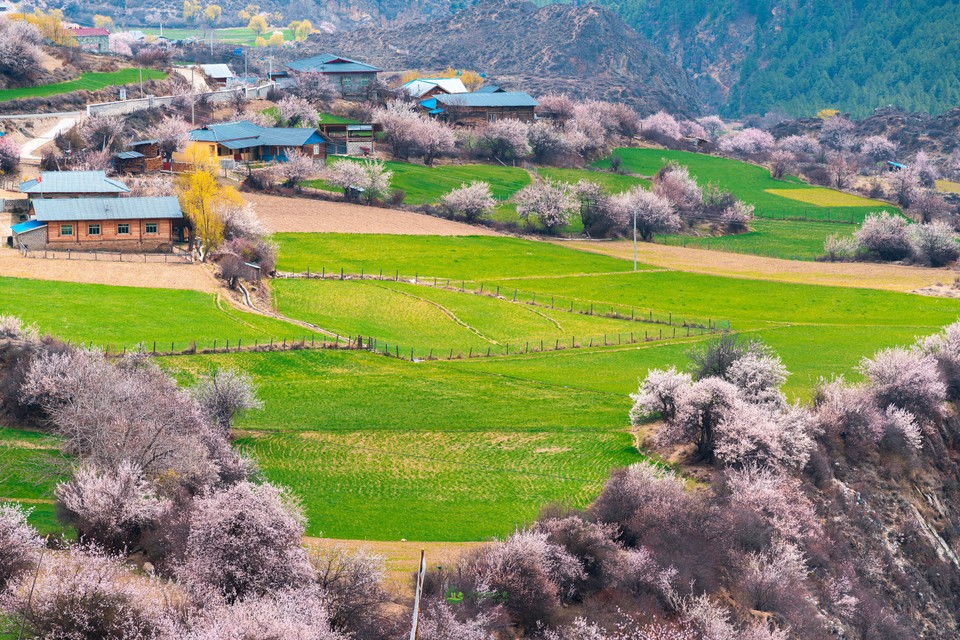 801caf7b8d71b3b083ce7a5804114af