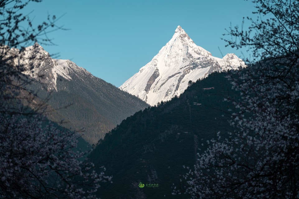 8580a60cebd621f75228d8c6418e7da