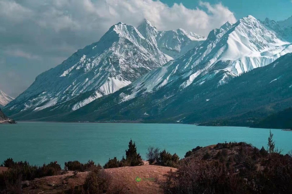 a3dab8e7b2e731afc4e2bf77542dba2