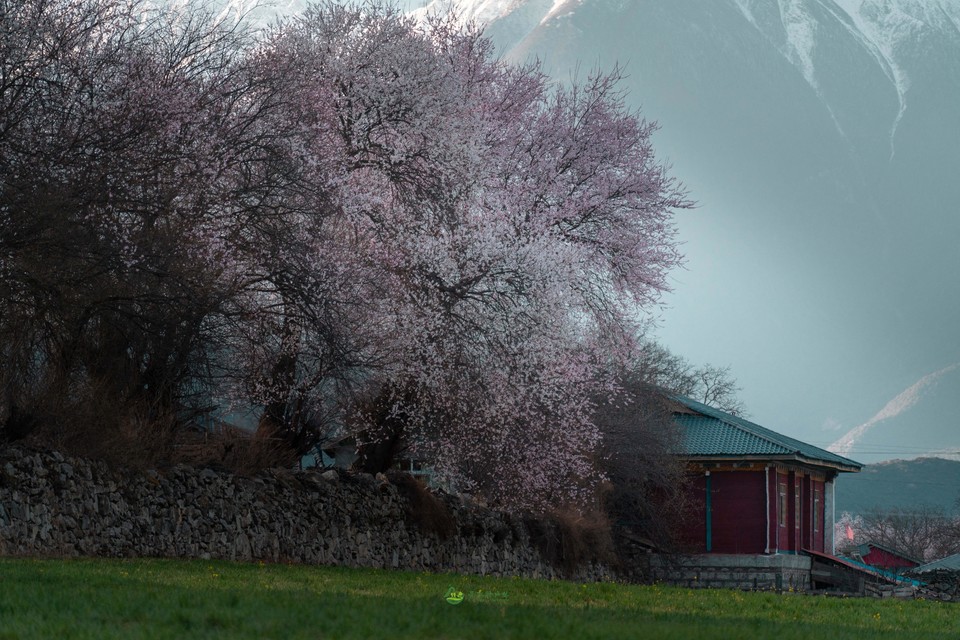 33855774a3e9532c9d12fefc28d8b0f