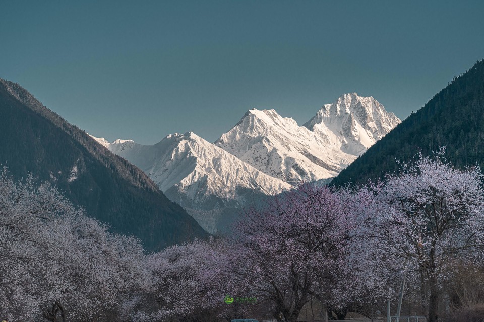 ff61e67ada6e667788499f7824529b1